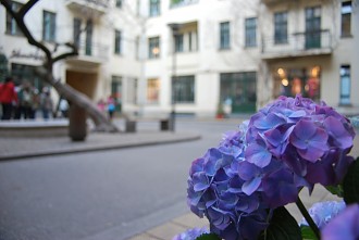 Zentraler BRUNNENHOF - DIE HACKESCHEN HÖFE Berlin Hackescher Markt, Tourismus, Sophienstraße, Denkmalschutz, Die Hackeschen Höfe, Sehenswürdigkeiten, Scheunenviertel, Rosenthaler Straße, Baudenkm