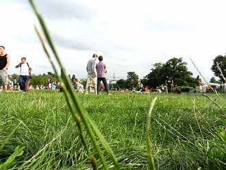 Grün Mauerpark, Wedding, Parkanlage, Stadtpark, Veranstaltung, Gesang, Konzert, Karaoke, Prenzlauer Berg, Berlin, Kultur, Bürgerpark, Grünfläche, Volkspark, Musik Berlin Pictures