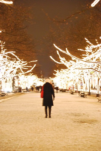 Berlin Mitte Unter den Linden an einem Winterabend Schnee, Nacht, Unter den Linden, Winter, Berlin Mitte Berlin Pictures