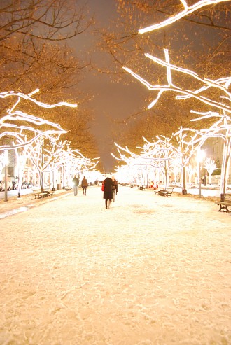 Berlin Mitte Unter den Linden an einem Winterabend Winter, Berlin Mitte, Schnee, Unter den Linden, Nacht Berlin Pictures